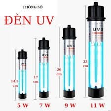 thiet ke thi cong ho ca koi