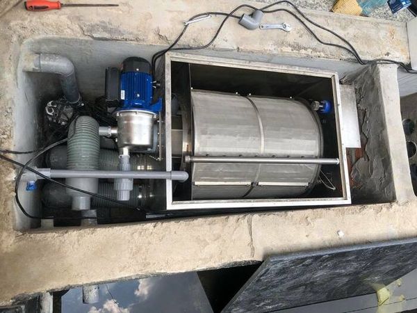 Môi trường sống không xác định giúp cá khỏe hơn