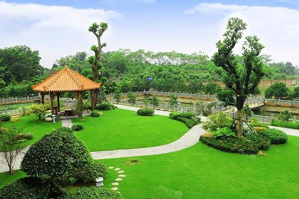 sân vườn đẹp
