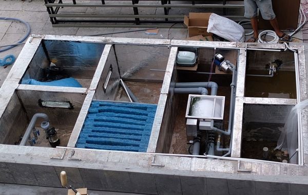 thiet ke thi cong ho ca koi