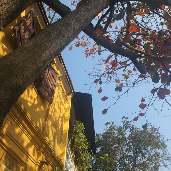 Khách hàng, bạn là ai?