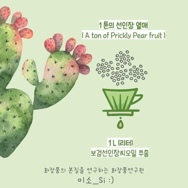 Dầu hạt xương rồng có trong Traime, Yeppy, Heysun