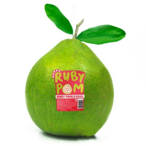 Lợi Ích Tuyệt Vời Của Bưởi Da Xanh Hoàng Anh Gia Lai Đạt Chuẩn Global GAP