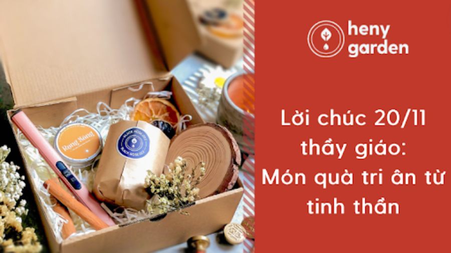 Lời Chúc 20/11 Thầy Giáo: Món Quà Tri Ân Từ Tinh Thần