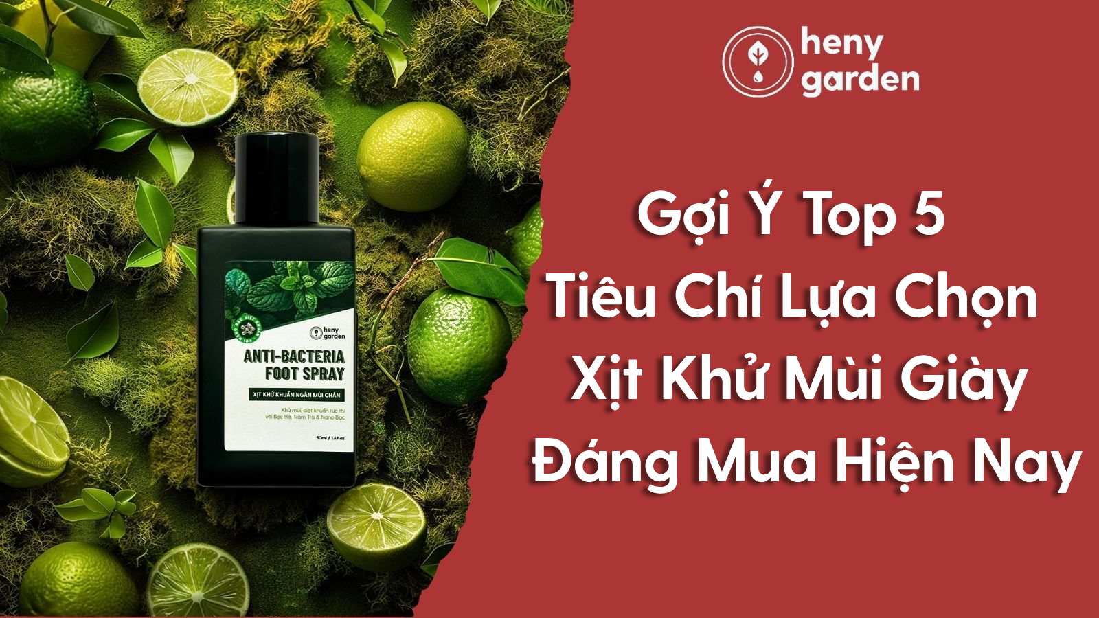 Gợi Ý Top 5 Tiêu Chí Lựa Chọn Xịt Khử Mùi Giày Đáng Mua Hiện Nay