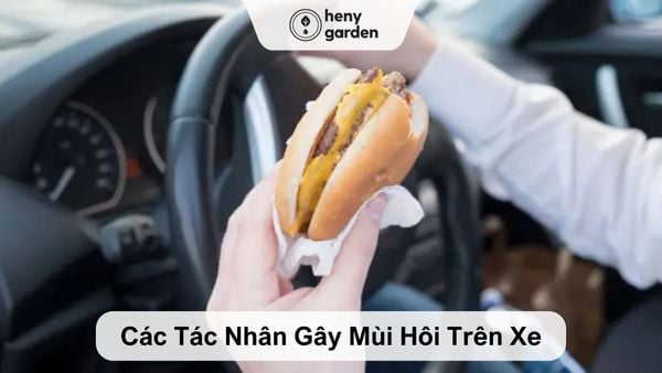 Hạn chế ăn uống trong xe