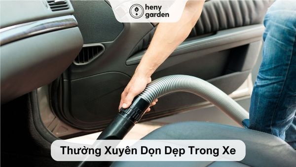Thường xuyên dọn dẹp xe hơi của mình