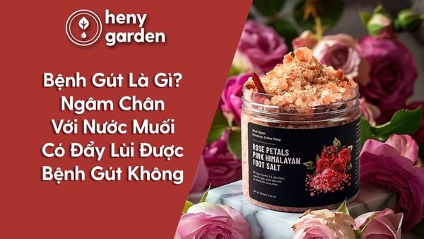 Công dụng và lợi ích sức khỏe của hoa hồng ăn được