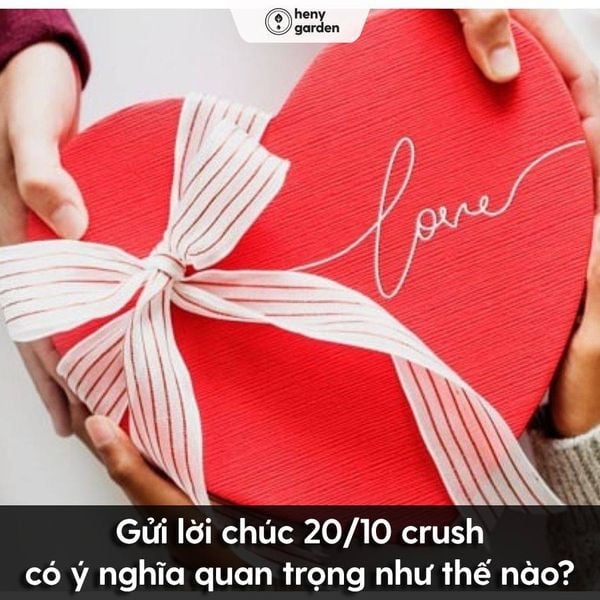 ý nghĩa của việc chúc 20/10 crush