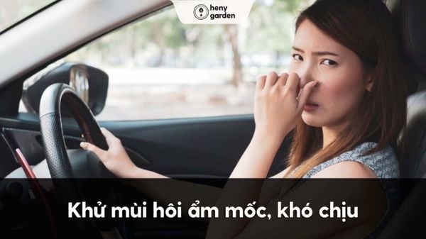 nên mua nước hoa ô tô loại nào