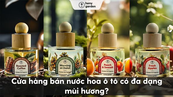 cửa hàng bán nước hoa ô tô cao cấp đa dạng mùi hương