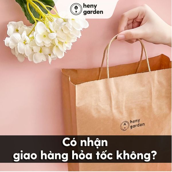 nơi bán nước hoa ô tô uy tín có giao hàng hỏa tốc