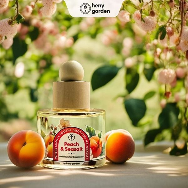 dùng nước hoa hay tinh dầu treo xe ô tô để tạo bầu không khí thoải mái