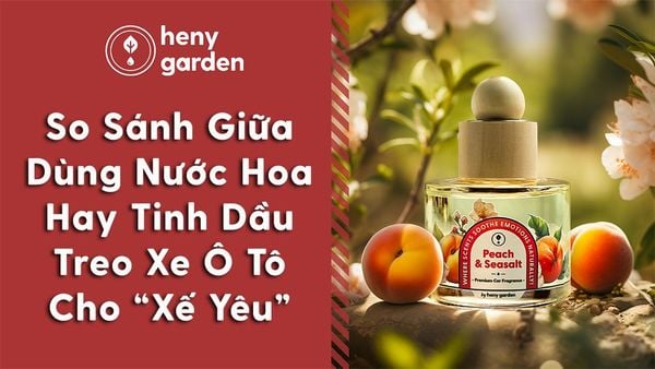 dùng nước hoa hay tinh dầu treo xe ô tô