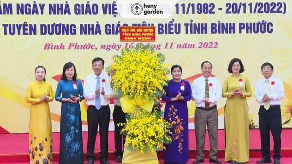 hình ảnh đẹp về thầy cô giáo 20/11