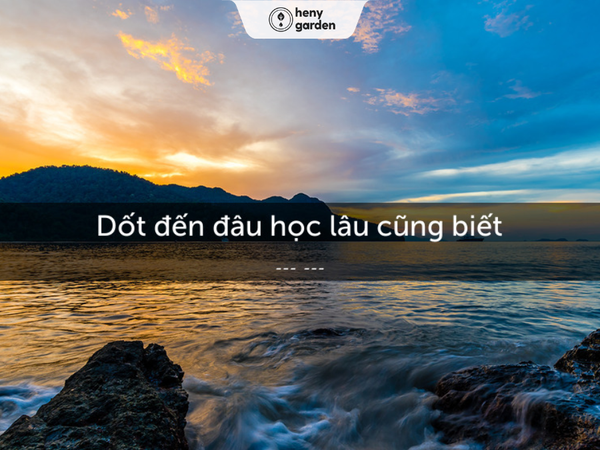 hình ảnh đẹp về thầy cô giáo cùng những câu ca dao tục ngữ hay nhất 20/11