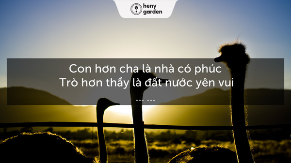 những hình ảnh đẹp về 20/11