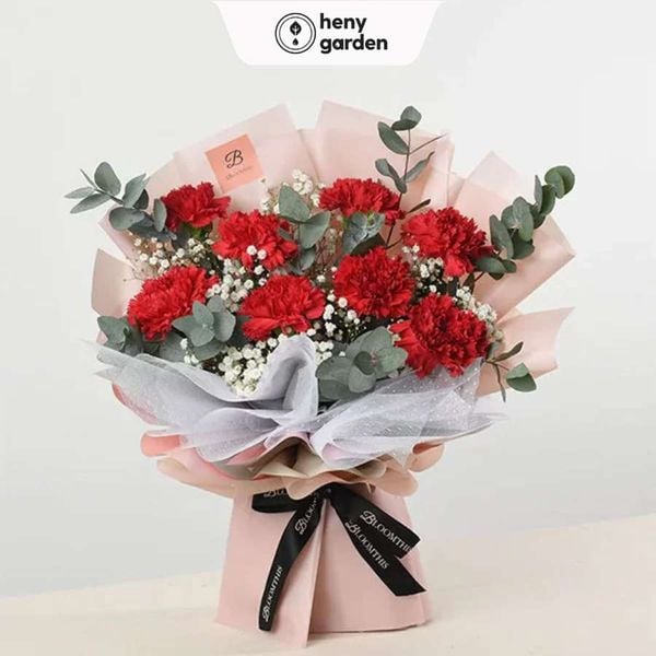 những hình ảnh đẹp về ngày 20/11