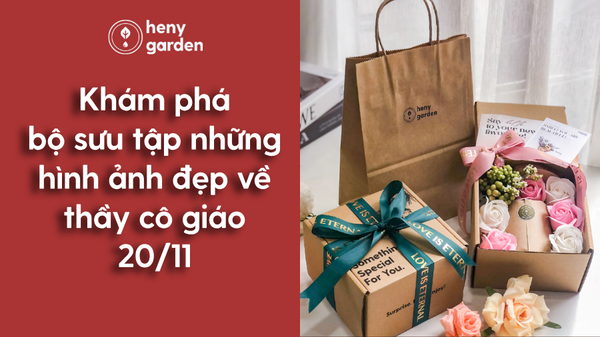 hình ảnh đẹp về thầy cô giáo 20/11