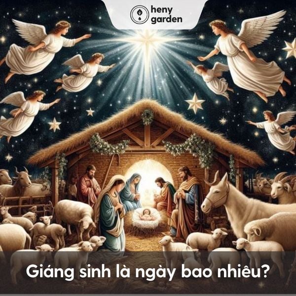 Ngày lễ giáng sinh là ngày bao nhiêu