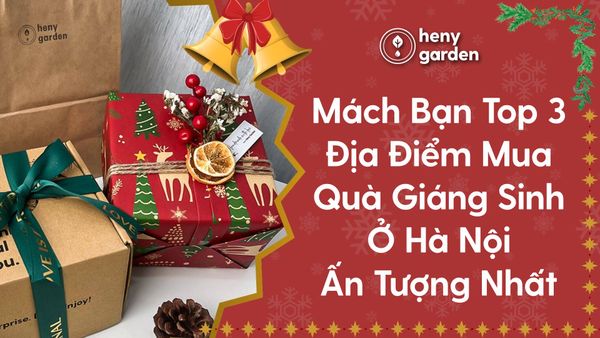 Mua quà giáng sinh ở Hà Nội