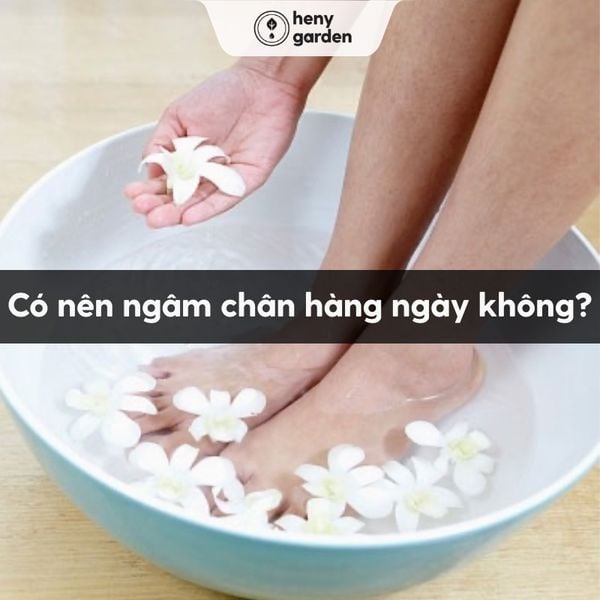 có nên ngâm chân hàng ngày hay không? những người không nên ngâm chân là ai