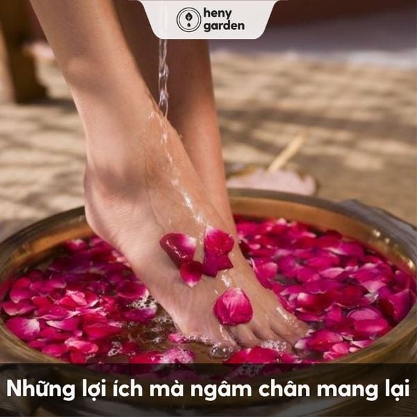 người nào không nên ngâm chân? những lợi ích ngâm chân mang lại cho sức khoẻ