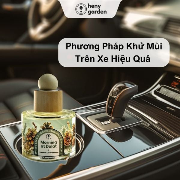 Các phương pháp khử mùi hôi trên xe ô tô hiệu quả nhất