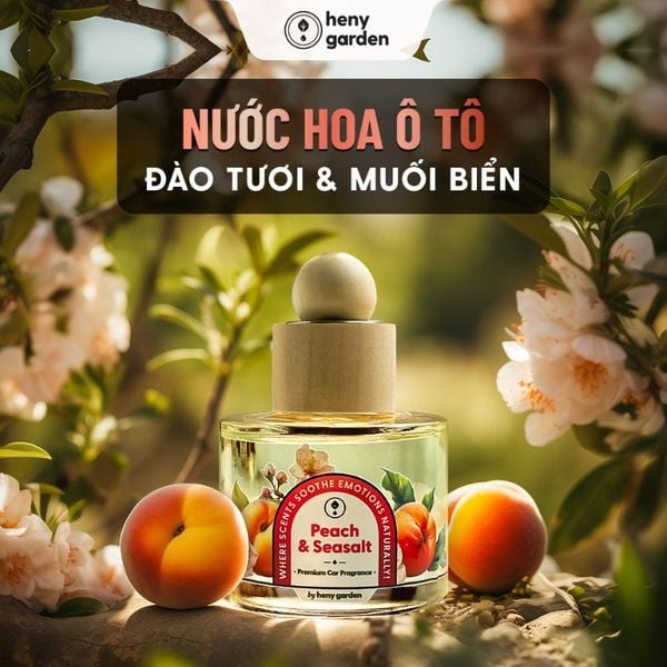 Tầng hương nước hoa khử mùi xe ô tô mùi đào được yêu thích