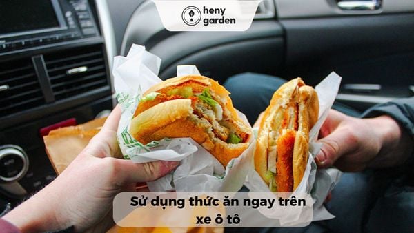 Những tác nhân gây ra mùi hôi trên xe ô tô