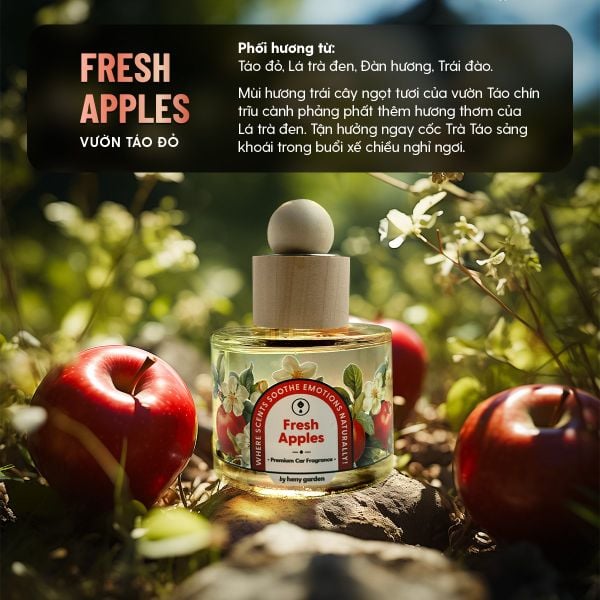 Nước hoa ô tô cao cấp mùi táo Fresh Apple