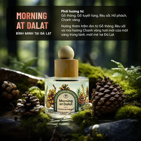Nước hoa ô tô cao cấp mùi gỗ Morning At Dalat