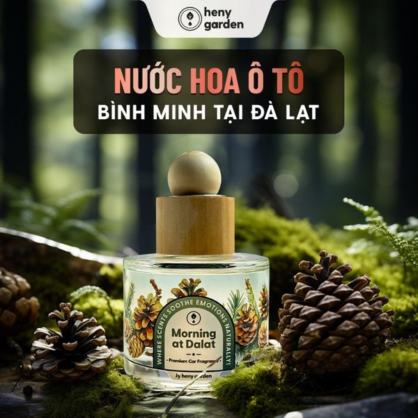 nước hoa ô tô mùi gỗ