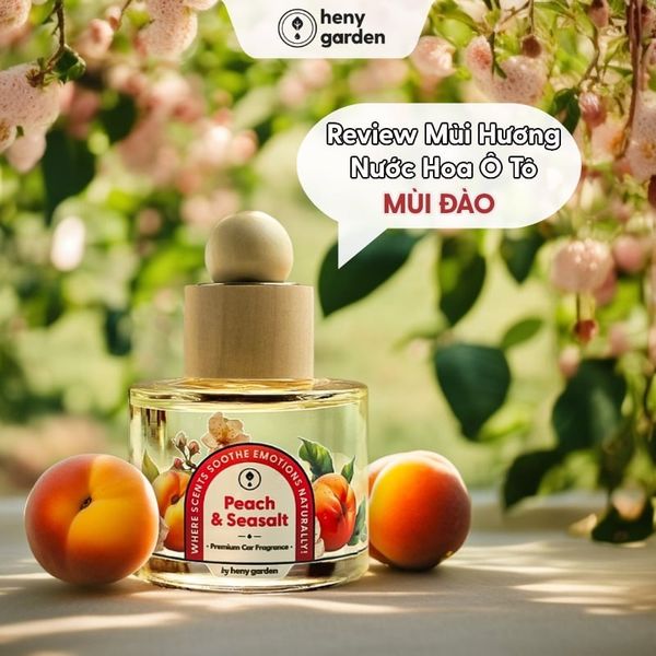 review nước hoa ô tô mùi đào