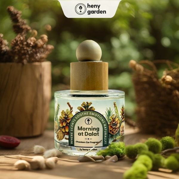 Review nước hoa ô tô mùi gỗ được yêu thích nhất hiện nay