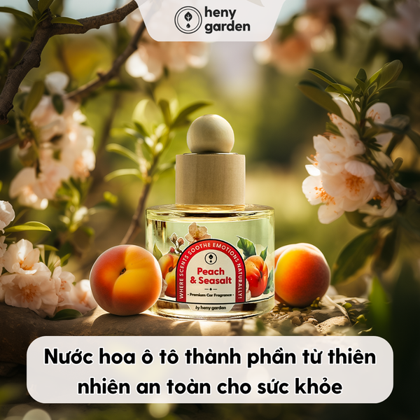 Nước hoa ô tô thành phần thiên nhiên an toàn cho sức khỏe