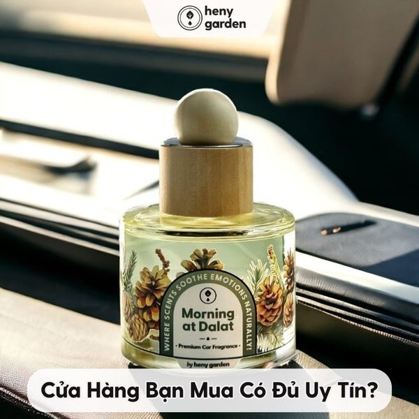 cửa hàng bán nước hoa ô tô TPHCM