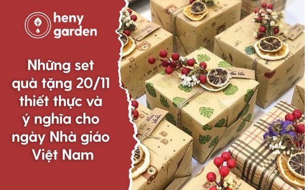 Quà tặng 20/11 ý nghĩa và thiết thực vào ngày Nhà giáo Việt Nam