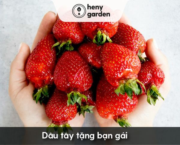 Quà 8/3 cho bạn gái