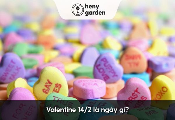 Valentine là ngày gì?