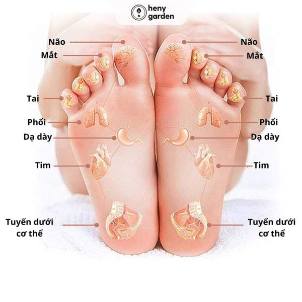tác dụng ngâm chân và mát xa chân giảm căng thẳng