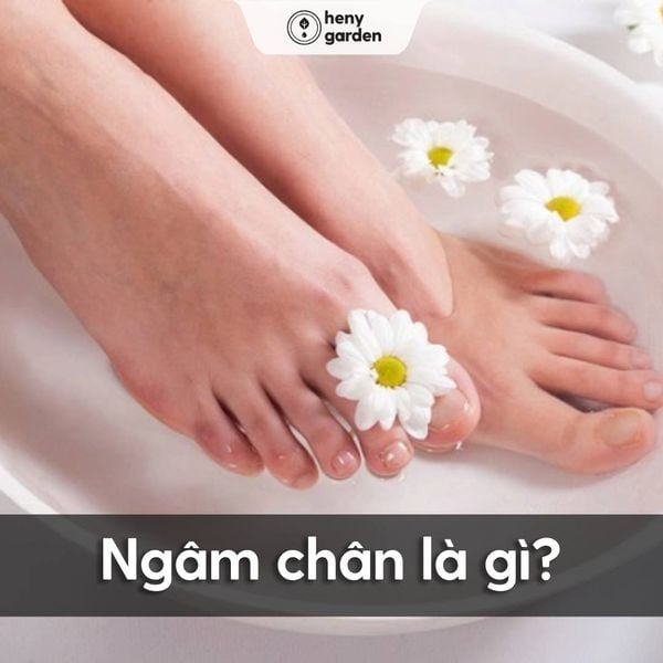 ngâm chân và tác dụng của ngâm chân là gì