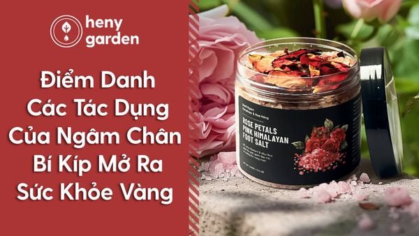 tác dụng của ngâm chân