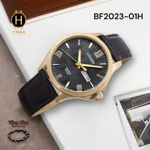 BF2023-01H