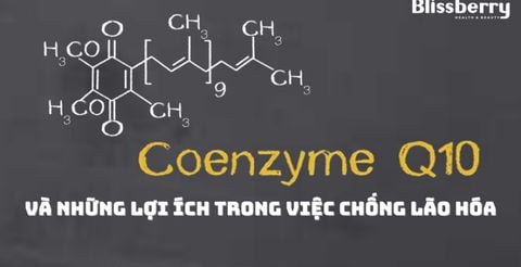 Co - enzyme Q10 và những lợi ích trong việc chống lão hóa