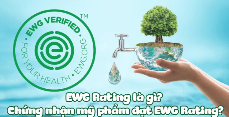 EWG Rating là gì? Chứng nhận mỹ phẩm đạt EWG Rating?