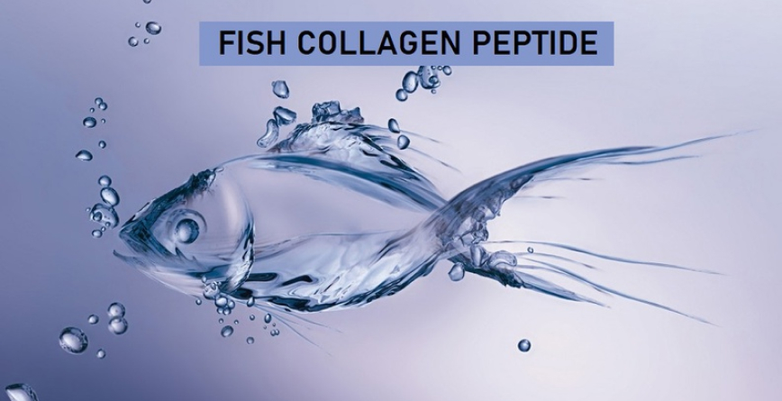 Fish Collagen Peptide là gì? Công dụng của Collagen?
