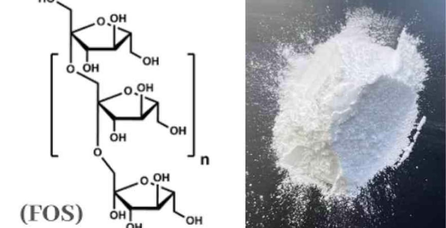 Fructooligosaccharides là gì trong mỹ phẩm? Công dụng ra sao?