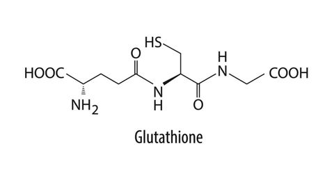 Infographic: 7 lợi ích tuyệt vời của Glutathione đối với làn da