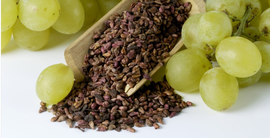 Khám phá Grape Seed Oil (Dầu hạt nho) Thành phần 
